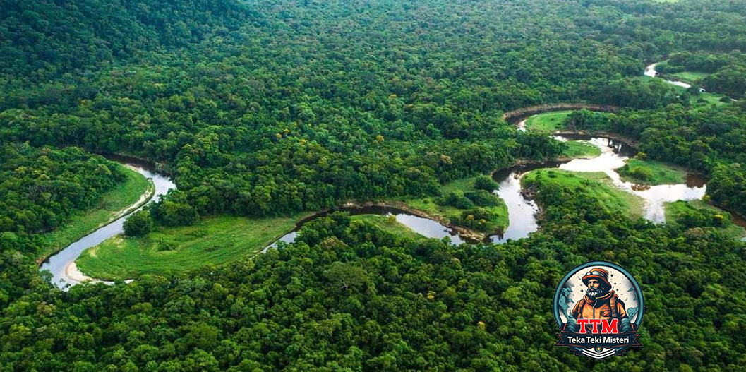 Misteri Kota Z: Perburuan Tak Berujung di Hutan Amazon