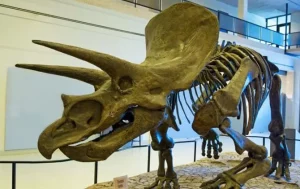 Misteri Dinosaurus: Mengungkap Konspirasi Mahluk Purba