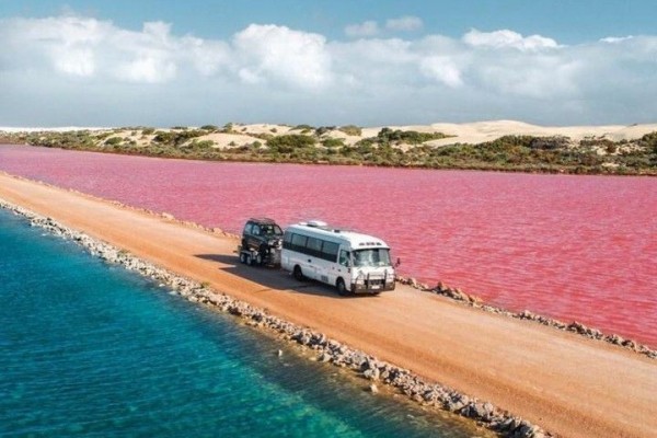 Danau Pink Hillier