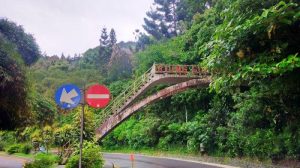 Jembatan Villa Puncak: Kisah Mistis di Balik Tangga Berlumut!